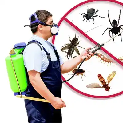 pest control Surf City